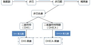 肽安密多“最强美白成分”宝座即将易位?