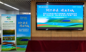 “阿尔年味,情满京城”阿尔山市特色农畜产品展销推广活动暨“兴安好物”进北京生态农产品推广活动在京举办