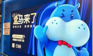 盒马：场景融合与健康消费双轮并进